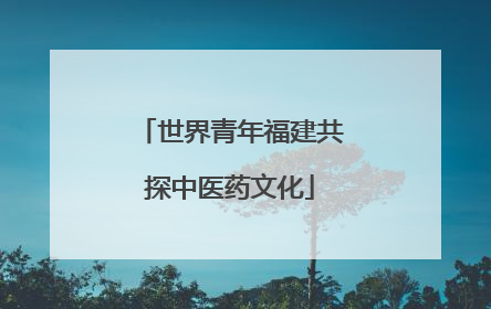 世界青年福建共探中医药文化