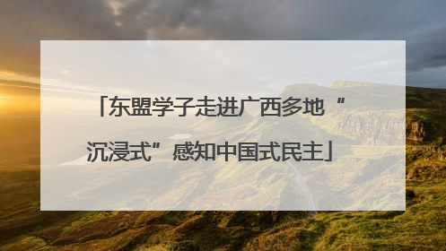 东盟学子走进广西多地“沉浸式”感知中国式民主
