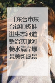 东台市东台镇积极推进生态河道整治实现河畅水清岸绿景美新愿景