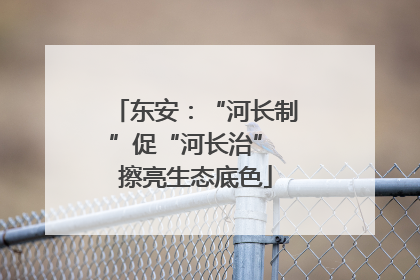 东安：“河长制”促“河长治” 擦亮生态底色