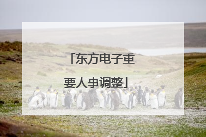 东方电子重要人事调整