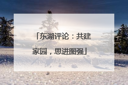 东湖评论：共建家园，思进图强