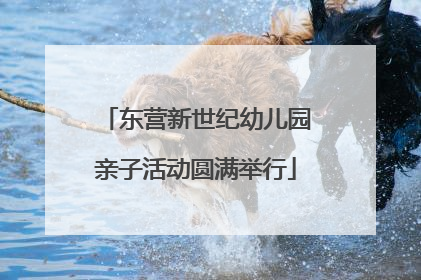 东营新世纪幼儿园亲子活动圆满举行