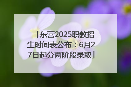 东营2025职教招生时间表公布：6月27日起分两阶段录取