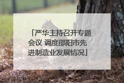 严华主持召开专题会议 调度邵阳市先进制造业发展情况