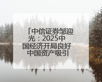 中信证券邹迎光：2025中国经济开局良好 中国资产吸引力持续提升