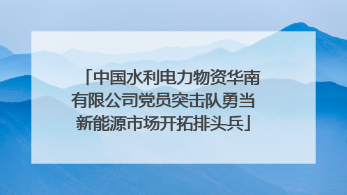 中国水利电力物资华南有限公司党员突击队勇当新能源市场开拓排头兵