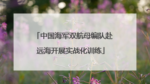 中国海军双航母编队赴远海开展实战化训练
