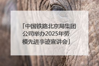中国铁路北京局集团公司举办2025年劳模先进事迹宣讲会