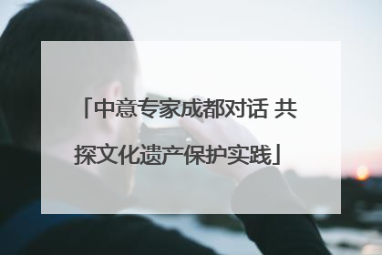 中意专家成都对话 共探文化遗产保护实践
