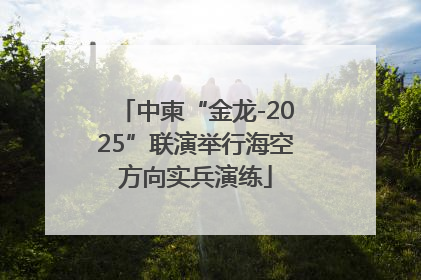 中柬“金龙-2025”联演举行海空方向实兵演练