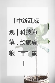 中新武威观｜科技为笔，绘就夏粮“丰”景