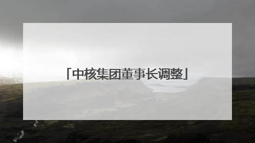 中核集团董事长调整