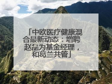 中欧医疗健康混合最新动态：增聘赵磊为基金经理，和葛兰共管
