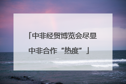 中非经贸博览会尽显中非合作“热度”