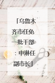 乌鲁木齐市任免一批干部：申琳任副市长