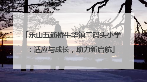 乐山五通桥牛华镇二码头小学：适应与成长，助力新启航