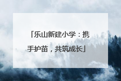 乐山新建小学：携手护苗，共筑成长