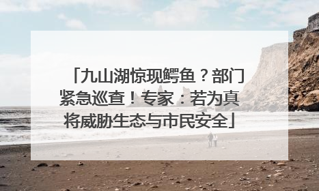 九山湖惊现鳄鱼？部门紧急巡查！专家：若为真将威胁生态与市民安全