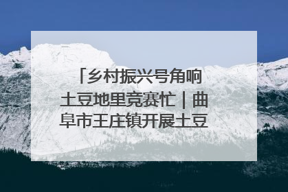 乡村振兴号角响 土豆地里竞赛忙｜曲阜市王庄镇开展土豆收获劳动竞赛