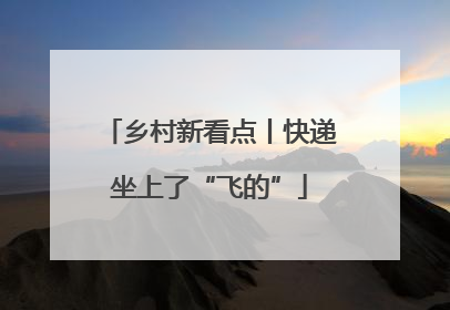 乡村新看点丨快递坐上了“飞的”