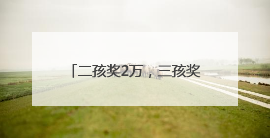 二孩奖2万，三孩奖3万，泰山区北上高村有了生育奖励金