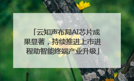 云知声布局AI芯片成果显著，持续推进上市进程助智能终端产业升级