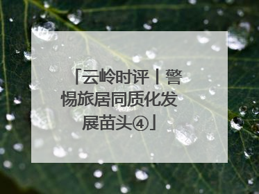 云岭时评丨警惕旅居同质化发展苗头④