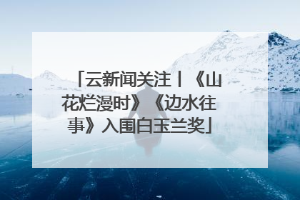 云新闻关注丨《山花烂漫时》《边水往事》入围白玉兰奖