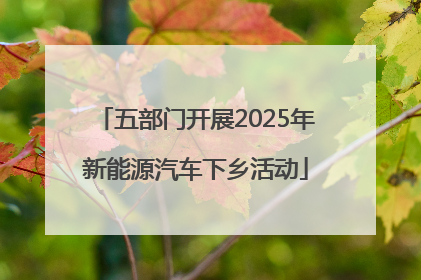 五部门开展2025年新能源汽车下乡活动