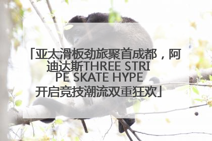 亚太滑板劲旅聚首成都，阿迪达斯THREE STRIPE SKATE HYPE开启竞技潮流双重狂欢
