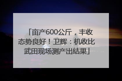 亩产600公斤，丰收态势良好！卫辉：机收比武田现场测产出结果