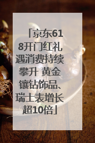 京东618开门红礼遇消费持续攀升 黄金镶钻饰品、瑞士表增长超10倍