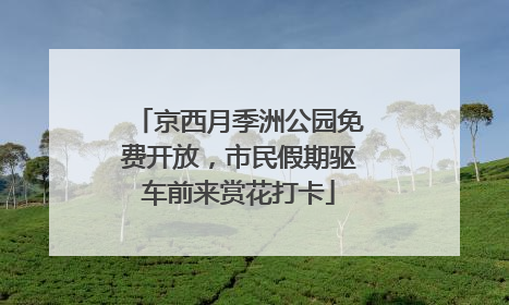 京西月季洲公园免费开放，市民假期驱车前来赏花打卡