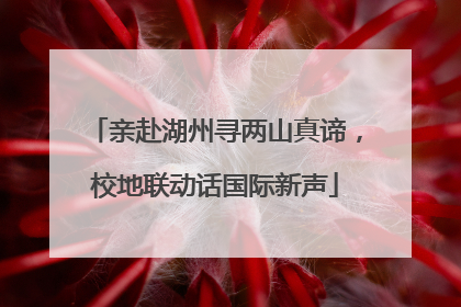 亲赴湖州寻两山真谛，校地联动话国际新声