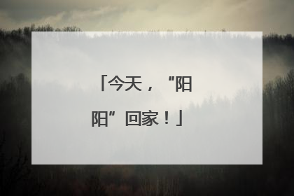 今天，“阳阳”回家！