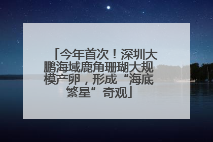 今年首次！深圳大鹏海域鹿角珊瑚大规模产卵，形成“海底繁星”奇观