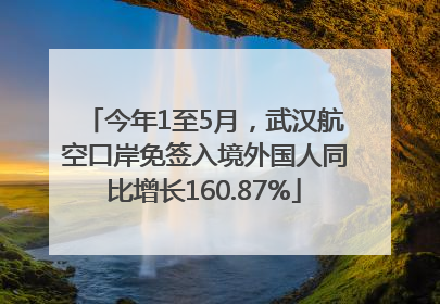 今年1至5月，武汉航空口岸免签入境外国人同比增长160.87%