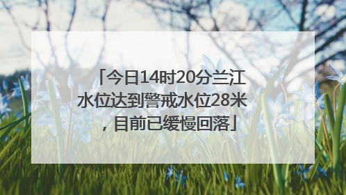 今日14时20分兰江水位达到警戒水位28米，目前已缓慢回落