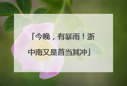 今晚，有暴雨！浙中南又是首当其冲