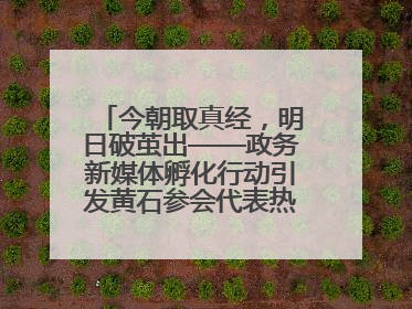 今朝取真经，明日破茧出——政务新媒体孵化行动引发黄石参会代表热烈反响