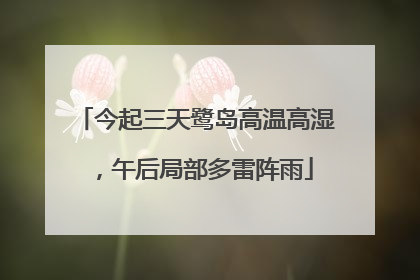 今起三天鹭岛高温高湿，午后局部多雷阵雨
