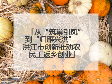 从“筑巢引凤”到“归雁兴洪” 洪江市创新推动农民工返乡创业