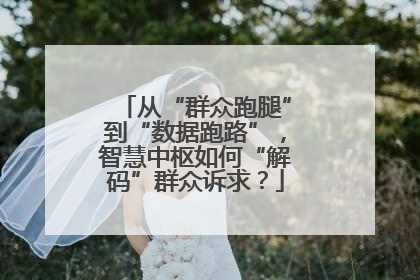 从“群众跑腿”到“数据跑路”，智慧中枢如何“解码”群众诉求？