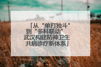 从“单打独斗”到“多科联动” 武汉构建精神卫生共病诊疗新体系