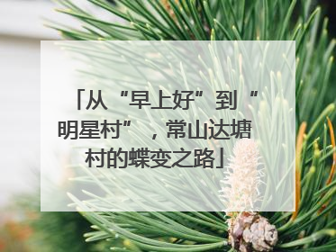 从“早上好”到“明星村”，常山达塘村的蝶变之路
