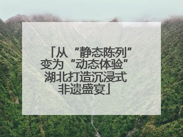 从“静态陈列”变为“动态体验” 湖北打造沉浸式非遗盛宴
