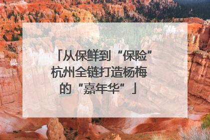 从保鲜到“保险” 杭州全链打造杨梅的“嘉年华”