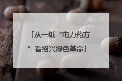 从一纸“电力药方”看绍兴绿色革命