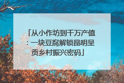 从小作坊到千万产值：一块豆腐解锁昆明呈贡乡村振兴密码